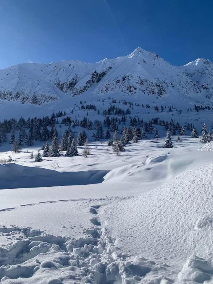 White Home Tonale Passo del Tonale Extérieur photo
